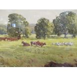 Harry T Hine (british 1845-1941), Cattle and Sheep grazing by a river, watercolour, signed lower