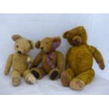 Three assorted teddy bears.