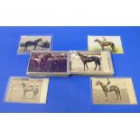 Race Horses; 72 cards, 1902 and later, real photo and printed, some postally used, including many
