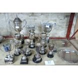 Trophies; fourteen various sports trophies relating to Stoodley Knowle School, Torquay, including