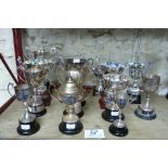 Trophies; fourteen various sports trophies relating to Stoodley Knowle School, Torquay, including