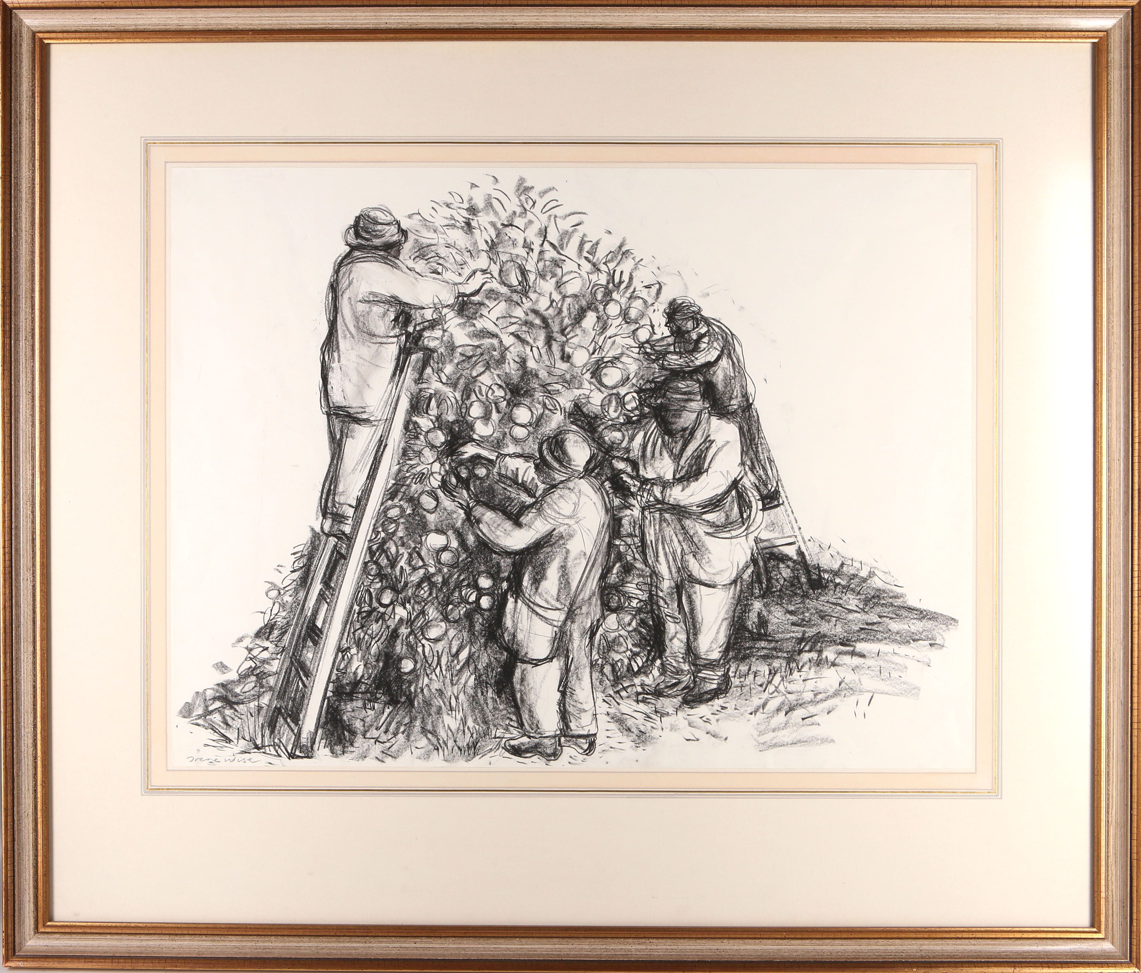 Irene Wise, Modern British School, 'Apple Harvest', charcoal study, signed, 46 x 61cm.