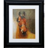 An ebonized framed equine oil painting study of a thoroughbred horse, 39.5 x 29.5cm.