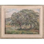 A 20th Century British School, oil on canvas, impressionist study of trees in the landscape,