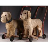 Two Tri-ang push along blonde mohair spaniels (well worn). (2)