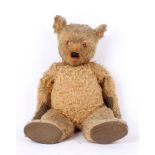 A large English Chiltern golden mohair teddy bear (replaced eyes), shaved muzzle, black