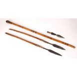 Zulu short stabbing spears, 21 and 18cm blades and another blade and knobkerry stick. (4)