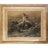 After Sir Edwin Landseer, RA, engraving of two sheep dogs resting in the landscape, signed in ink by
