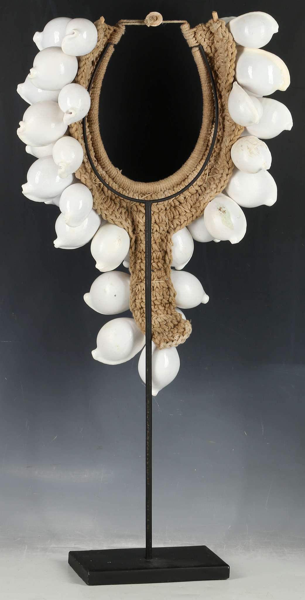 Oceanic interest; Papua New Guinea cowrie shell necklace, each shell approx 8cm. - Image 2 of 2