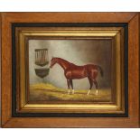 An oak framed oil painting study of a thoroughbred horse in a stable, 29.5 x 39cm.