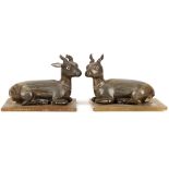 A PAIR OF INDIAN HORN CARVINGS OF DEER. 
Realistically modelled, seated with legs tucked and heads