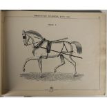 An equine album – catalogue book for Hampson & Scotts, published for use by saddlery specialists.