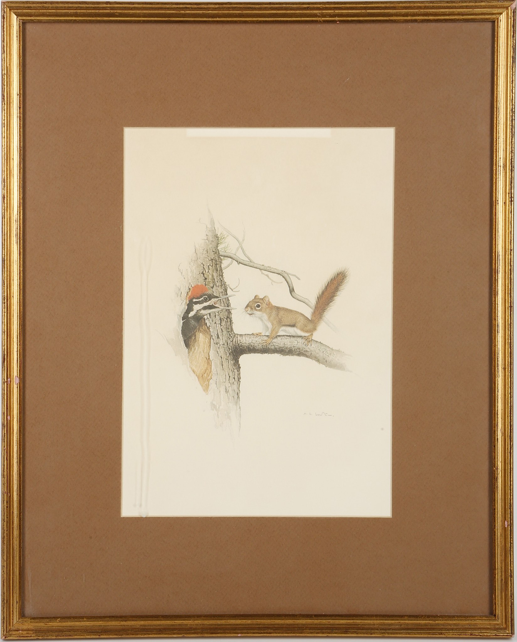 After M.G. Loates, studies of chipmunk, squirrel, woodpecker, fox, prints, Cecil Aldin study of - Image 3 of 4