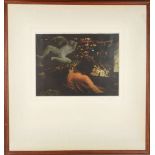 Roboz, a 1970's framed lithograph titled 'During the Performance', signed in pencil, framed, 69 x