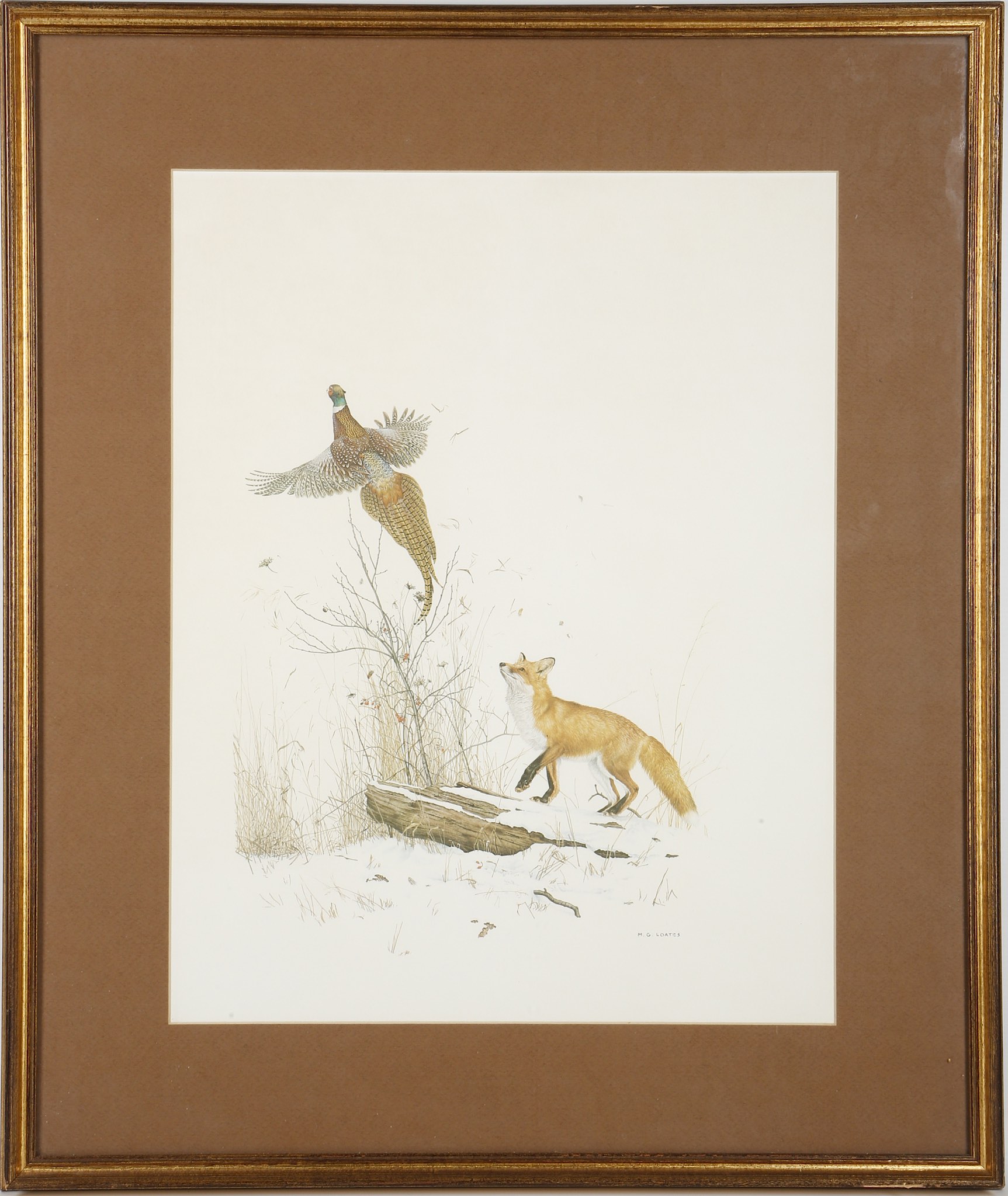 After M.G. Loates, studies of chipmunk, squirrel, woodpecker, fox, prints, Cecil Aldin study of