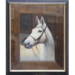 Modern school, a framed equine oil painting, study portrait of a white thoroughbred horse, 37 x