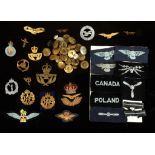 BRITISH ARMY MILITARY CAP BADGES;