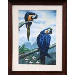 An oak framed ornithological oil painting study of two blue macaws on tree boughs, 54 x 39cm