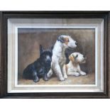A framed oil painting study of three terrier puppies, 29 x 39cm