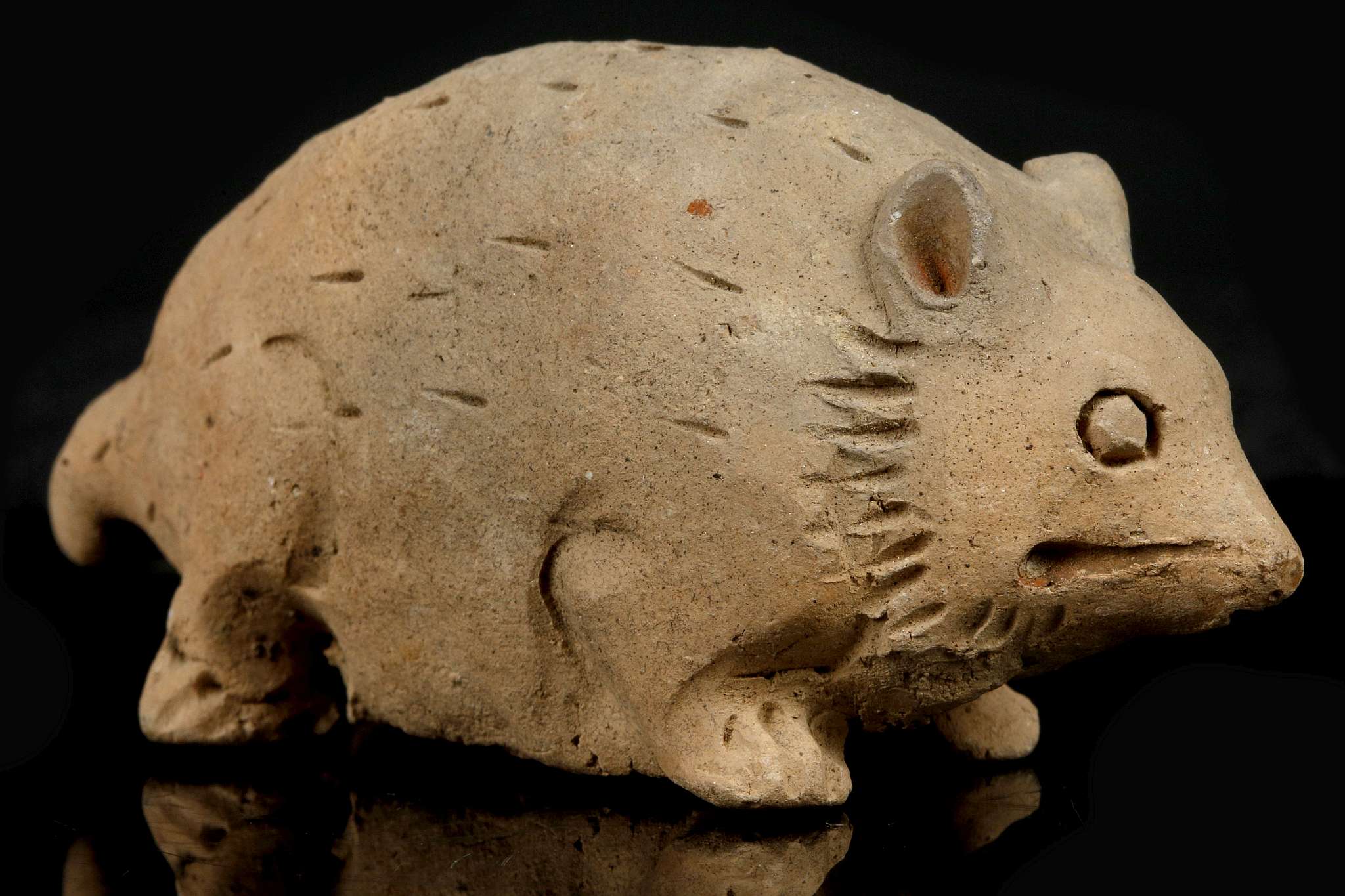 A PAINTED POTTERY RAT. Yuan Dynasty. Modelled crouching, with carved details and traces of