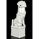 A CHINESE BLANC DE CHINE DEHUA BUDDHIST LION DOG J