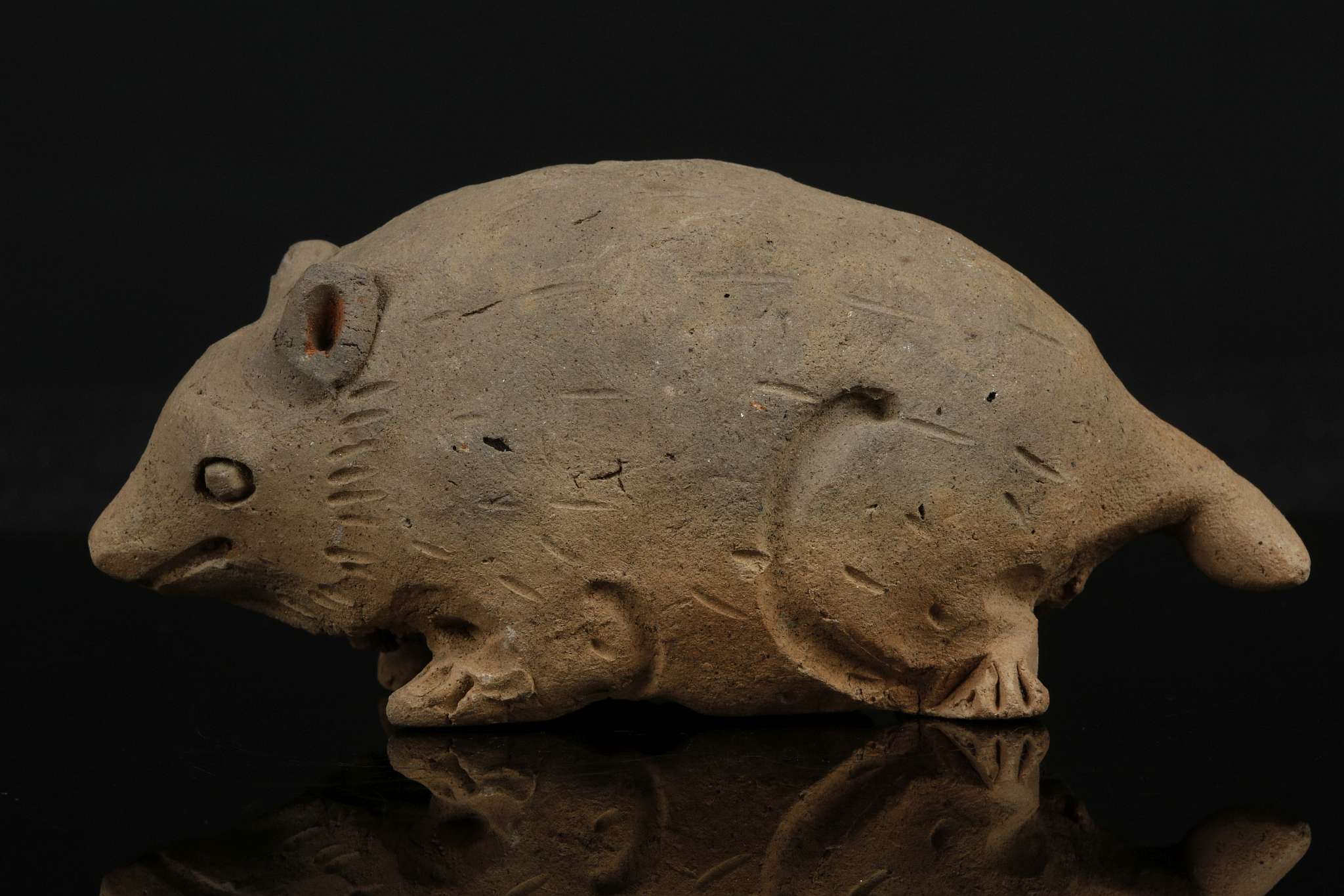 A PAINTED POTTERY RAT. Yuan Dynasty. Modelled crouching, with carved details and traces of - Image 4 of 7