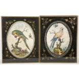 Early 20th century Continental School, a pair of exotic parrots, painted on rice paper, with