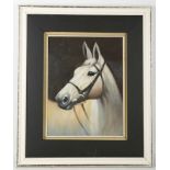 A framed oil painting portrait of a grey thoroughbred horse, 40cm x 30cm