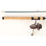 An 'Abu' two piece spinning rod, together with a Shakespeare Noris standard 2002