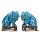 A PAIR OF TURQUOISE GLAZED BUDDHIST LION DOGS ON WOODEN STANDS. Republican era. Of stocky form