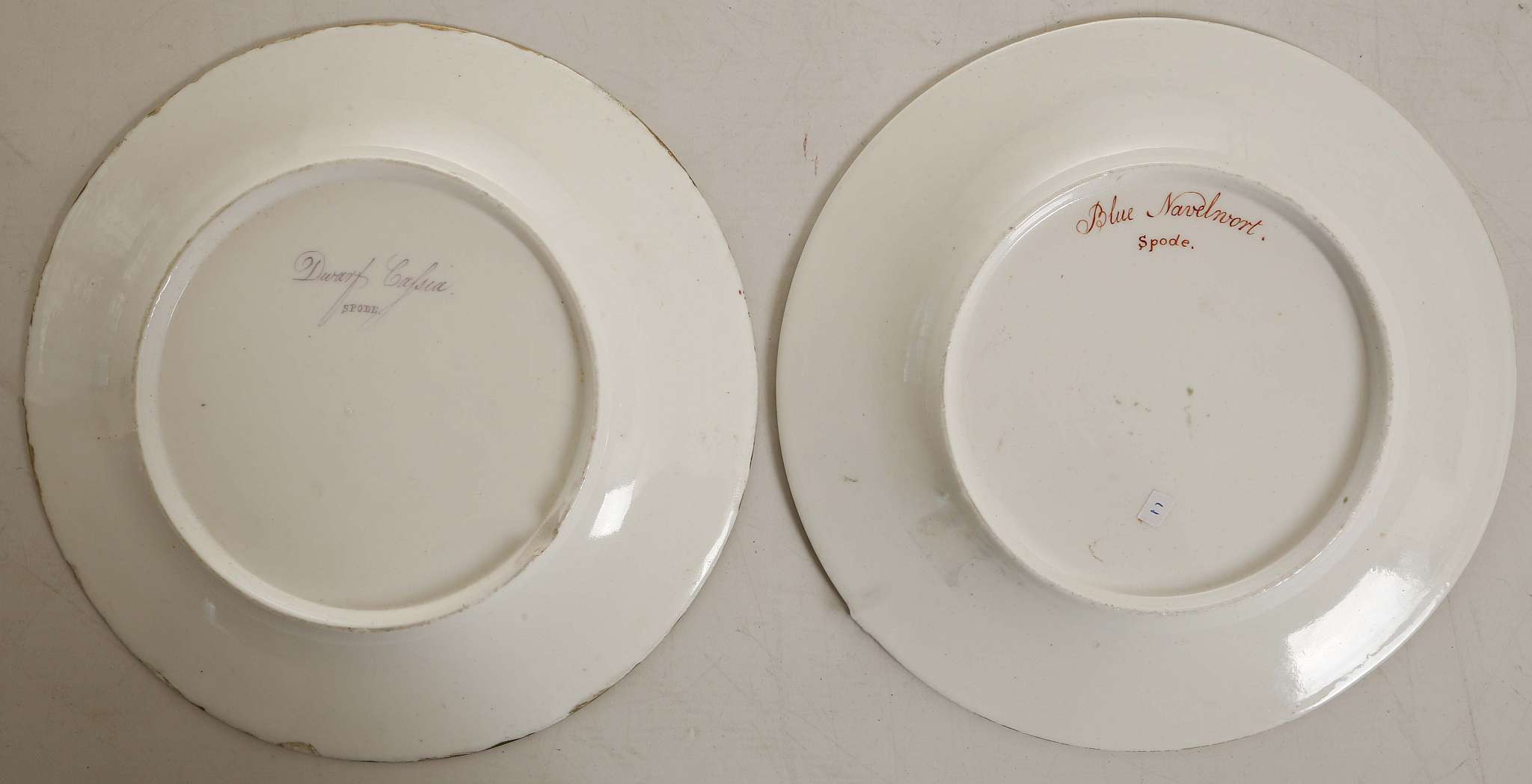 A PAIR OF SPODE BOTANICAL PLATES, circa 1810, one painted with 'Blue Navelwort' and the other - Image 2 of 4
