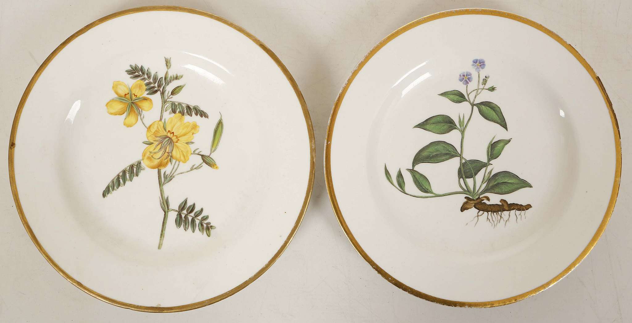 A PAIR OF SPODE BOTANICAL PLATES, circa 1810, one painted with 'Blue Navelwort' and the other