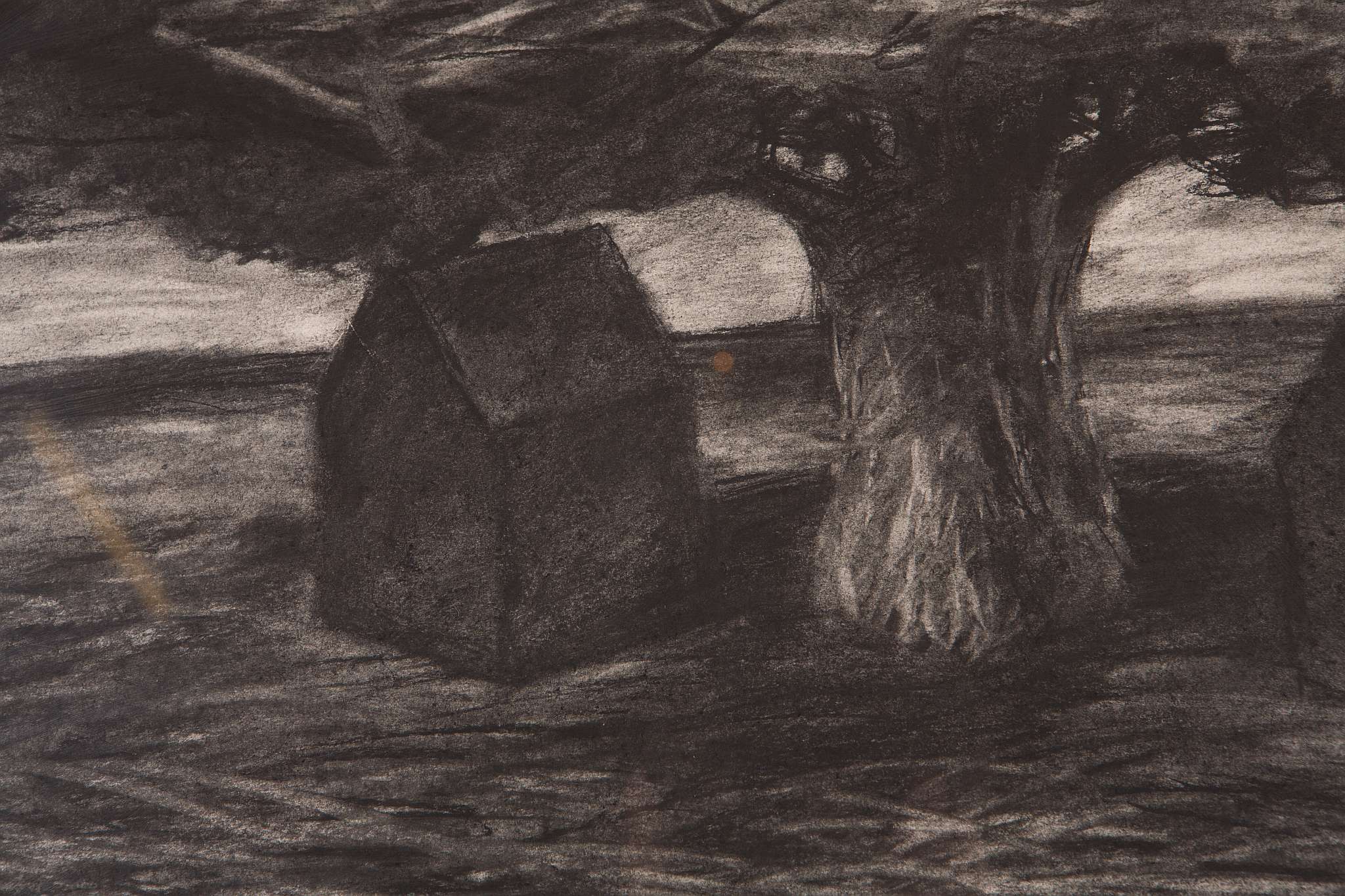 Late 20th Century British School, 'Standing Tree' an impressive charcoal drawing, unsigned, 66 x - Image 2 of 5