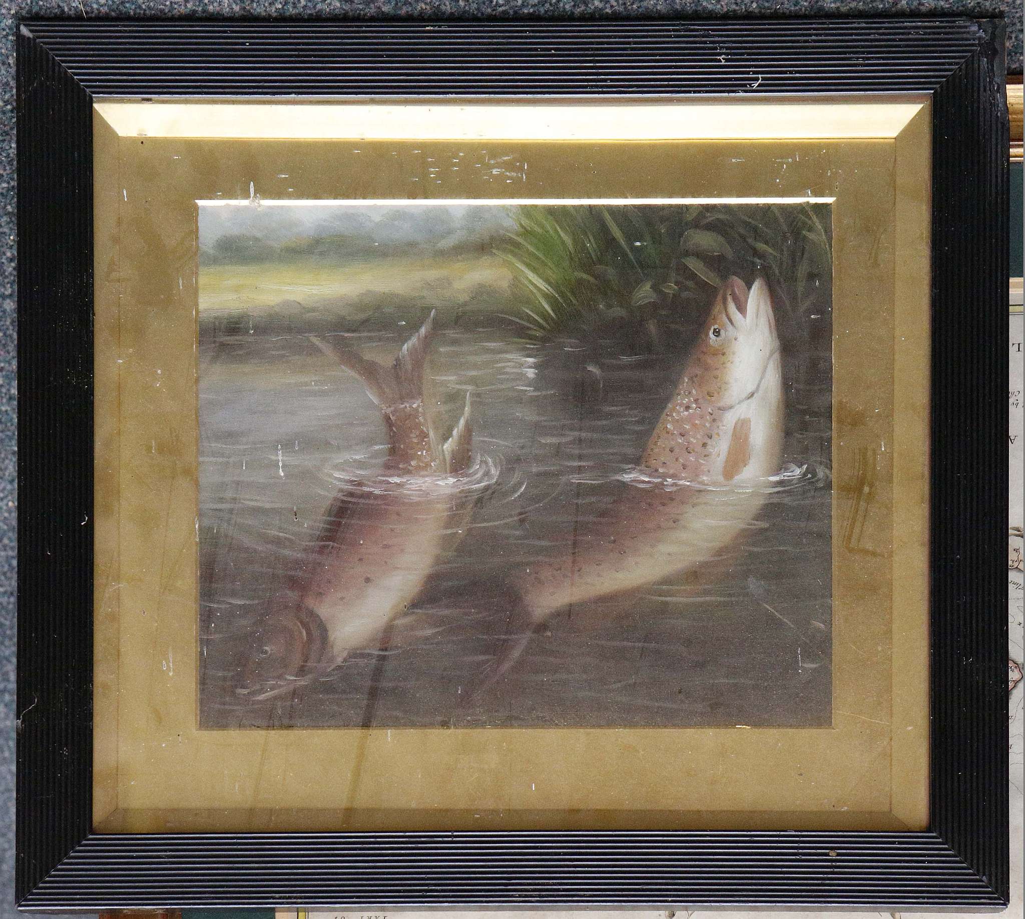 An oil painting study of brown trout in a reed bed, 27 x 33cm