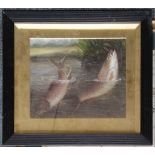 An oil painting study of brown trout in a reed bed, 27 x 33cm