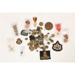 Polish medals, British Army buttons, cloth badges and other medals, enamel RAF wings and
