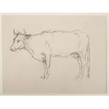 A 19th Century French School, study of a cow, pencil on wove, unsigned, mounted, 15 x 20cm, with a