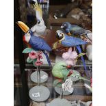 Five well modelled polychrome glazed models of colourful exotic birds