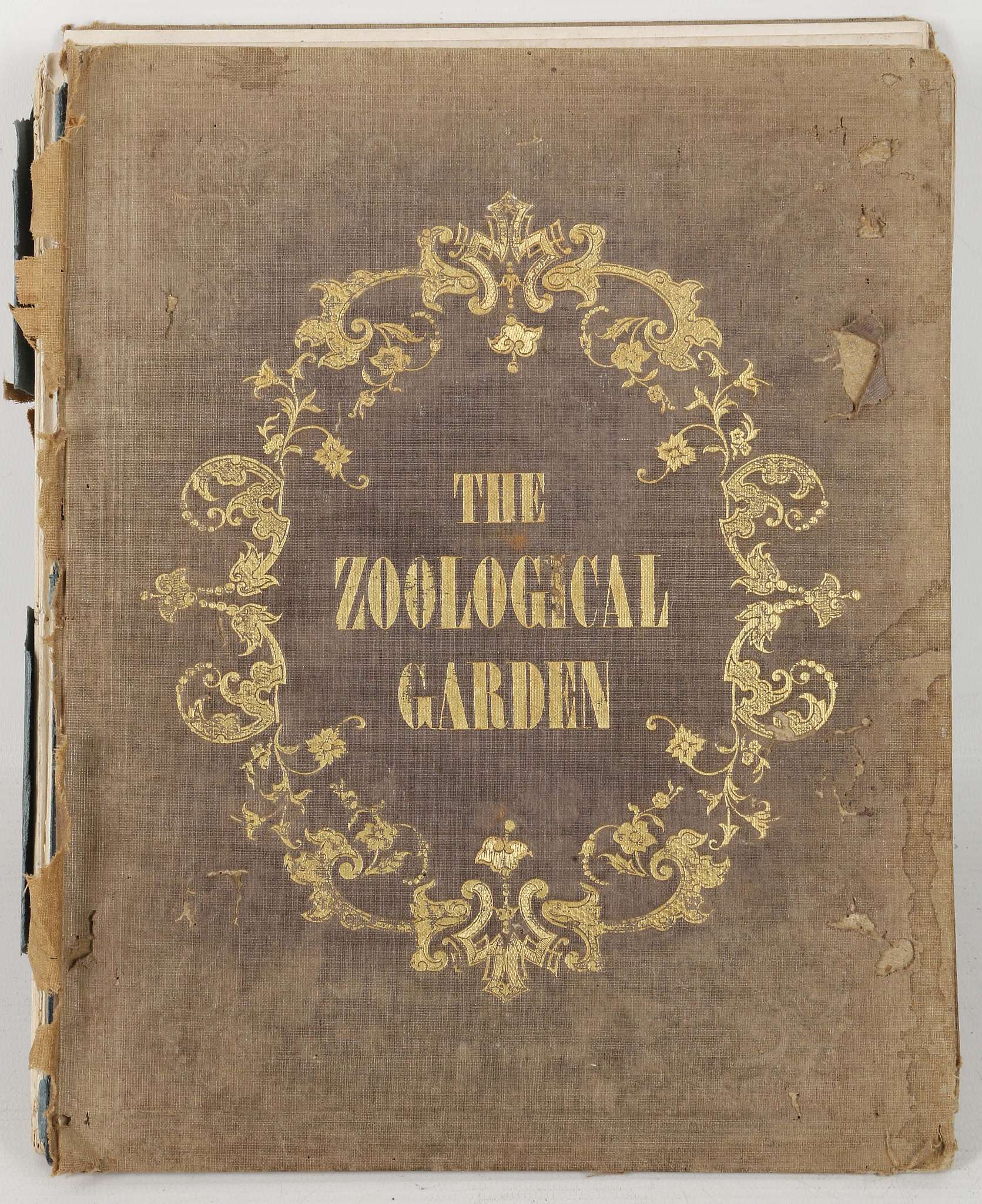 [ANON]. The Zoological Garden, An Invitation to the Youth of both Sexes to Contemplate Animated