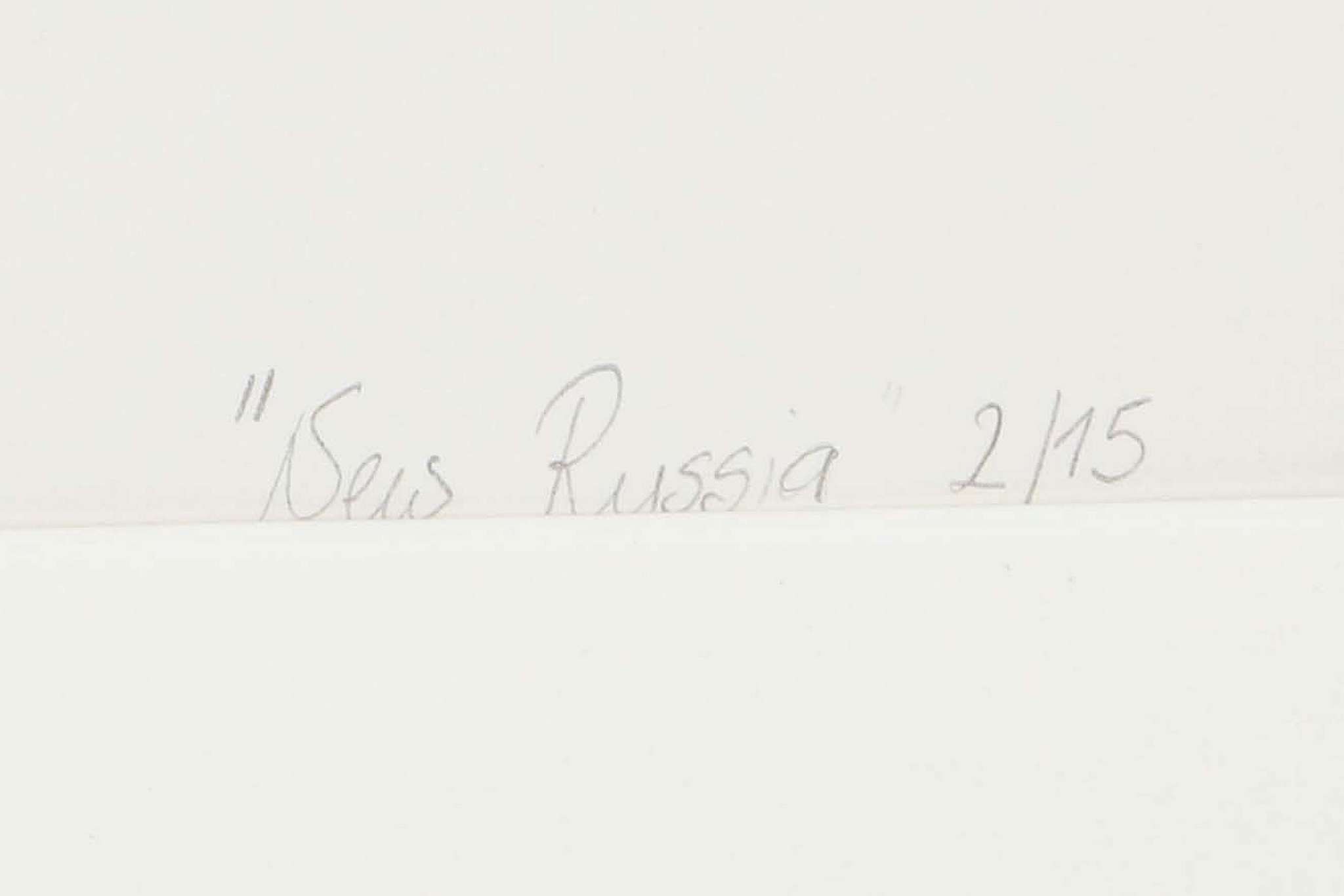 SANDRA STADNIK (RUSSIAN), ' NEW RUSSIA', screenprint, number 1 from an edition of 15, (40 x 30cm) - Image 3 of 5