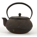 A Japanese iron tetsubin kettle and cover, maker's mark below spout, 15cm high