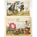 Satirical, hand coloured engravings-  [WILLIAMS, Charles]. The Full Blown Rose and Petty Mushroom!!.