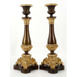 A fine pair of Empire style patinated bronze and g