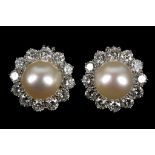 A pair of 18ct white gold, cultured pearl and diam