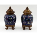 A pair of Cantonese jars decorated flowe