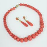 A coral necklace of graduating beads, 41cm long and a pair of coral ear pendants, each suspending