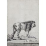 Giovanni Domenico Tiepolo/Study of a Standing Lion/signed lower right Dom' Tiepolo F'/ink and grey