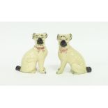 A pair of earthenware models of seated pug dogs, each with a pink ribbon about the neck,