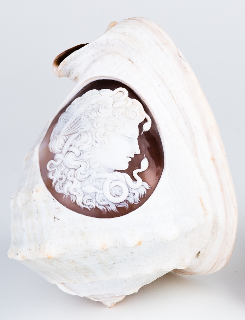 A cameo shell carved an oval portrait of Medusa in the white, 10.5cm high Condition Report: Lot 698,