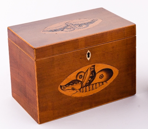 A George III satinwood rectangular tea caddy with boxwood strung borders and butterfly paterae to